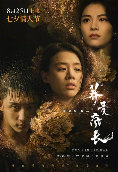 做个注册会计师证